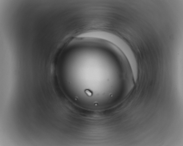 X0000113900308200910011348