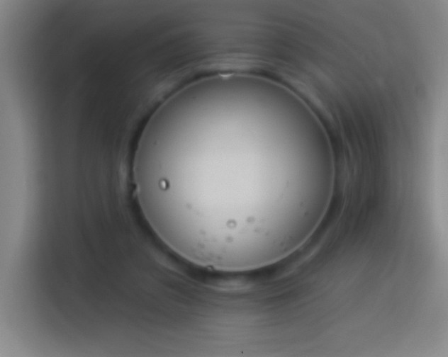 X0000113900309200910011348