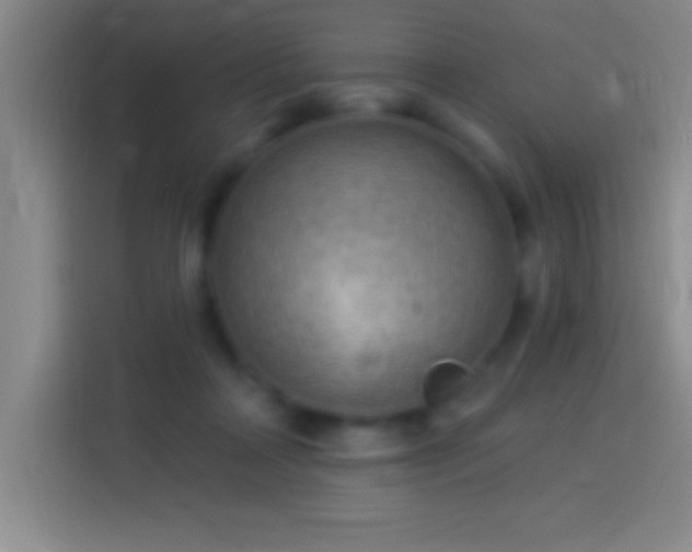 X0000113900314200910011348