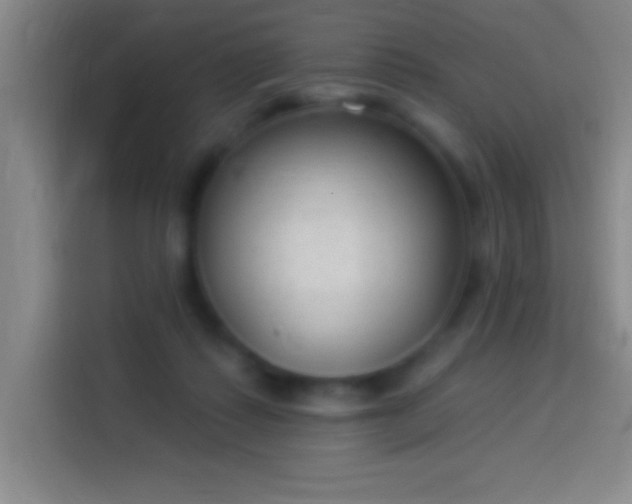 X0000113900315200910011348