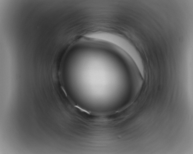 X0000113900316200910011348