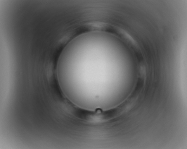 X0000113900318200910011348