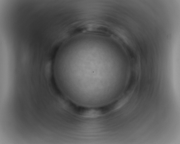 X0000113900319200910011348