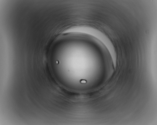 X0000113900320200910011348