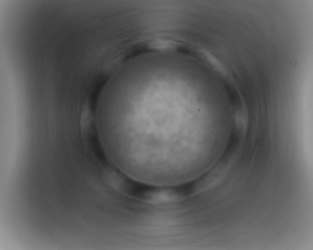 X0000113900322200910011348