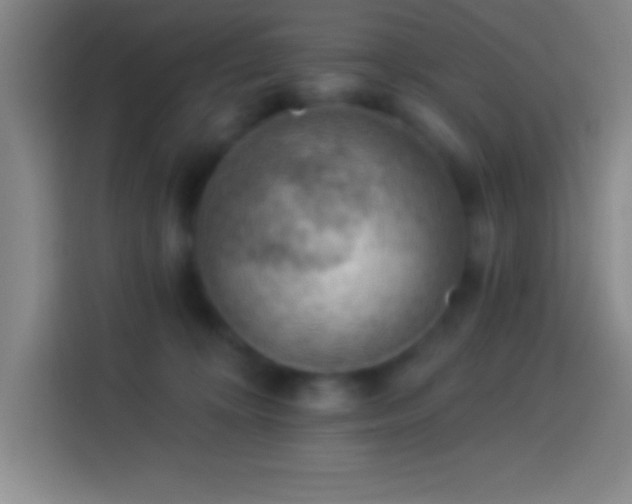 X0000113900324200910011348