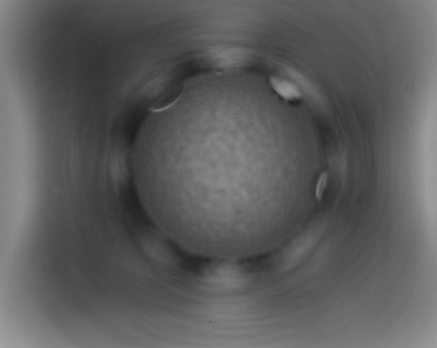 X0000113900325200910011348