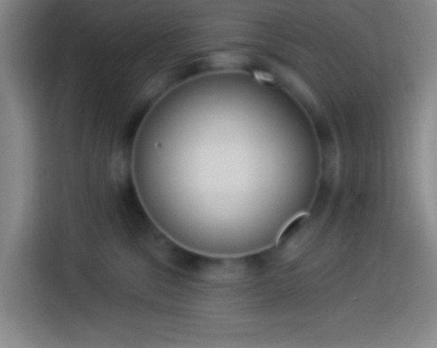 X0000113900329200910011348