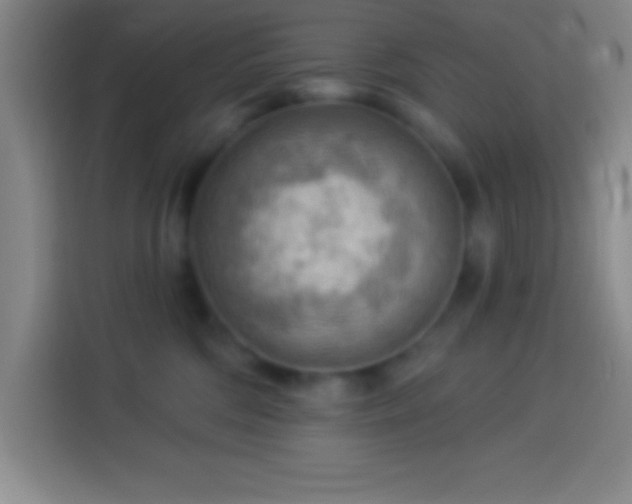 X0000113900330200910011348