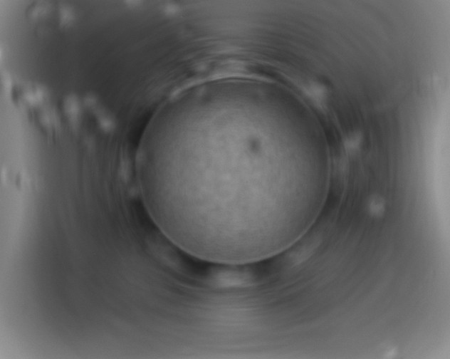 X0000113900331200910011348