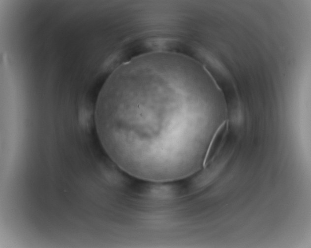 X0000113900332200910011348