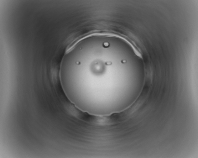 X0000113900333200910011348