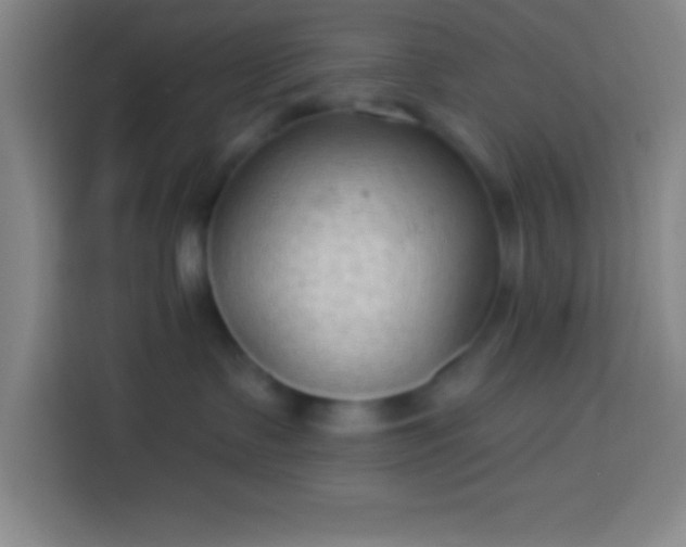 X0000113900335200910011348