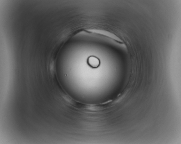 X0000113900336200910011347