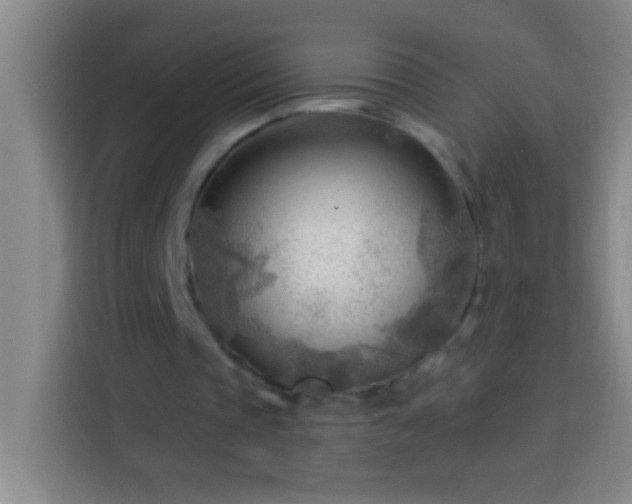 X0000113900337200910011347