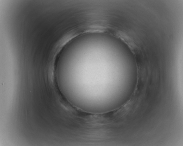 X0000113900338200910011347