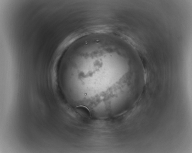 X0000113900339200910011347