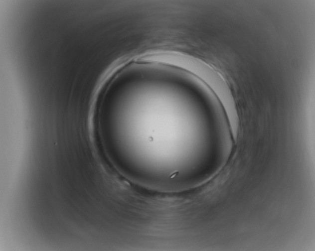 X0000113900340200910011347