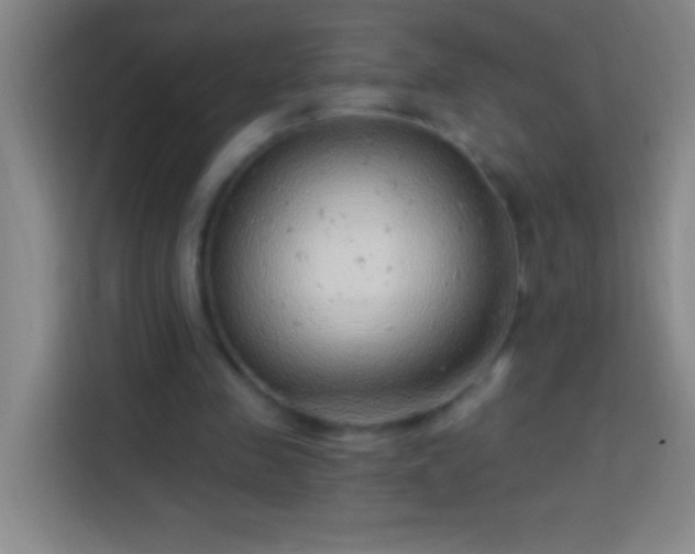 X0000113900341200910011347