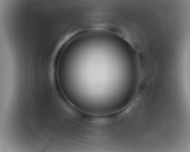 X0000113900342200910011347