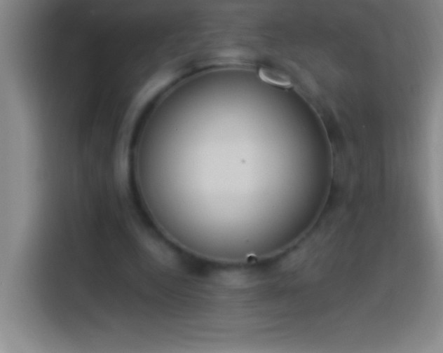 X0000113900344200910011347