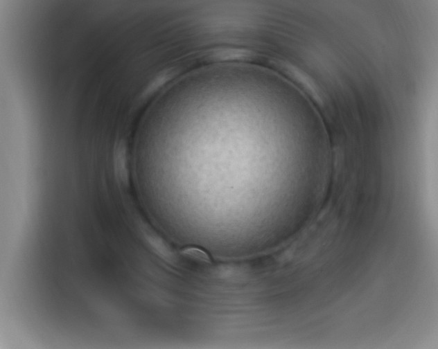 X0000113900345200910011347