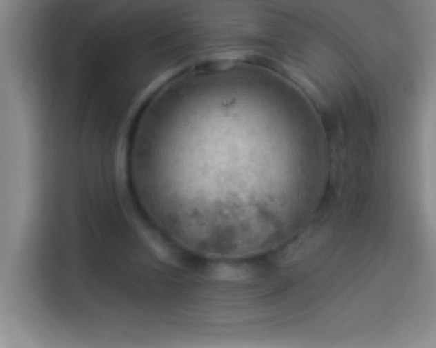 X0000113900346200910011347