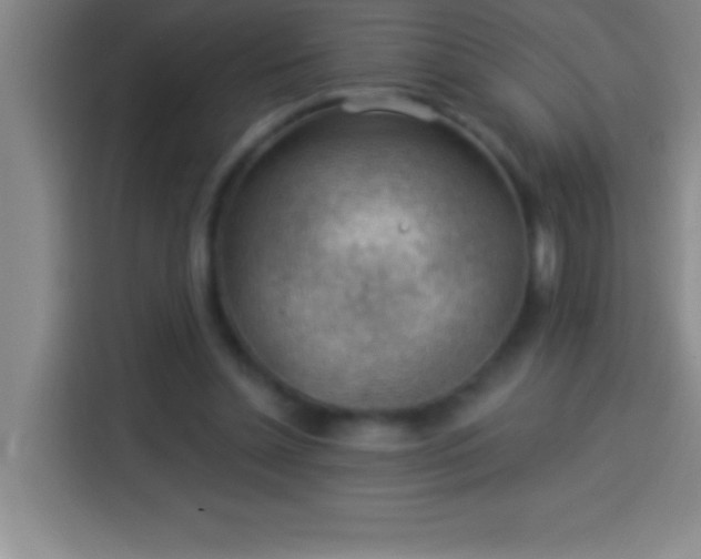 X0000113900348200910011347