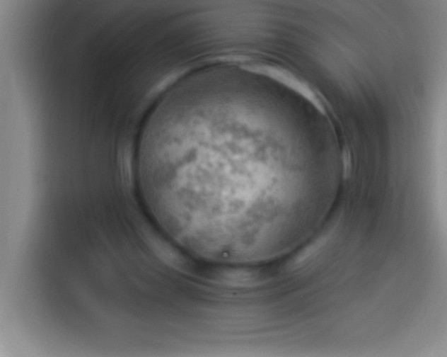 X0000113900349200910011347