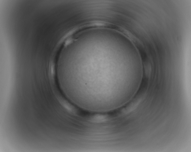 X0000113900350200910011347