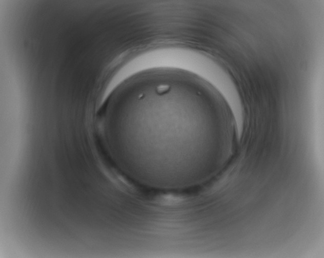 X0000113900352200910011347