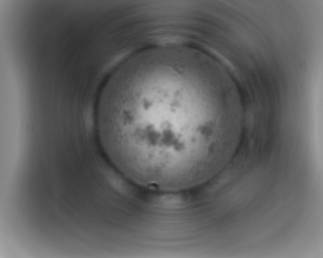 X0000113900353200910011347