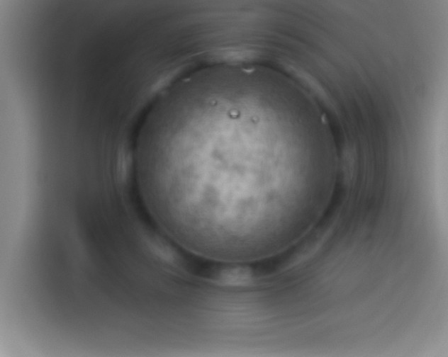 X0000113900355200910011347