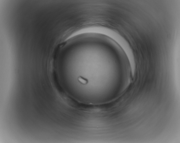 X0000113900356200910011347