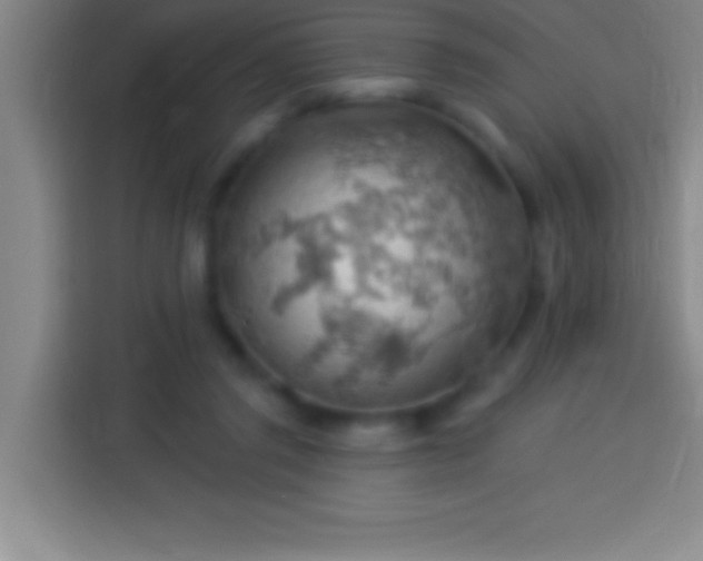 X0000113900357200910011347