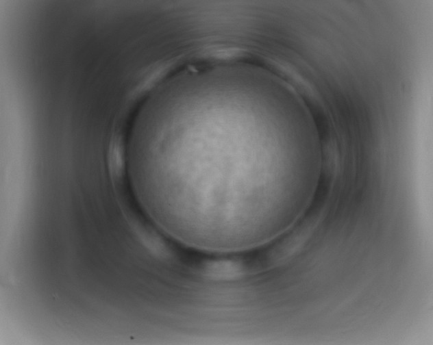 X0000113900358200910011347