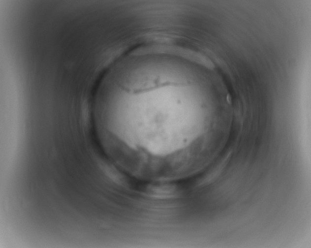 X0000113900359200910011347