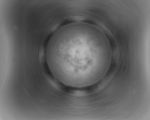 X0000113900360200910011347