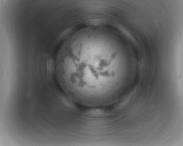 X0000113900361200910011347