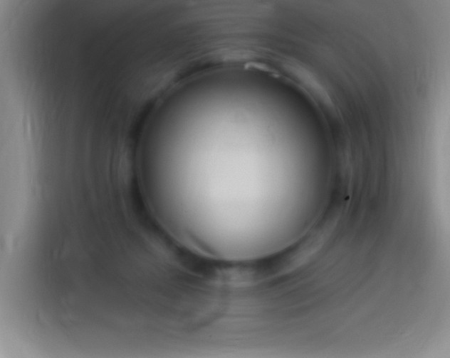 X0000113900362200910011347