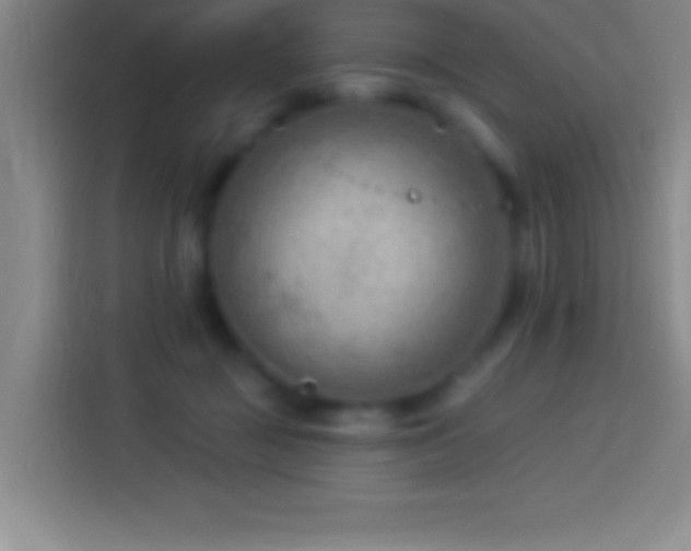 X0000113900363200910011347