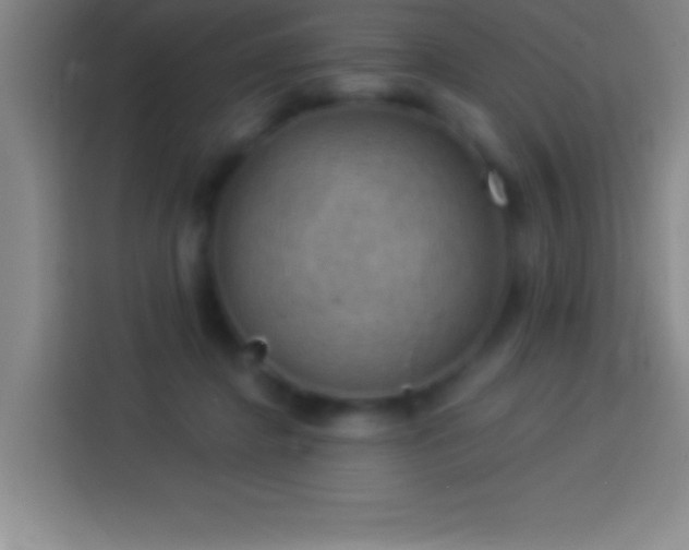 X0000113900364200910011347