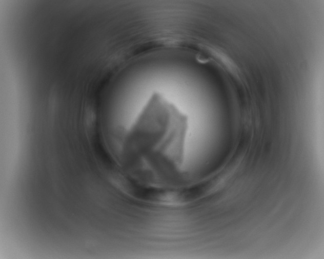 X0000113900365200910011347