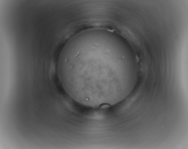 X0000113900368200910011347