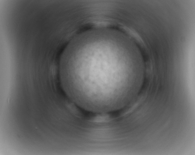 X0000113900369200910011347