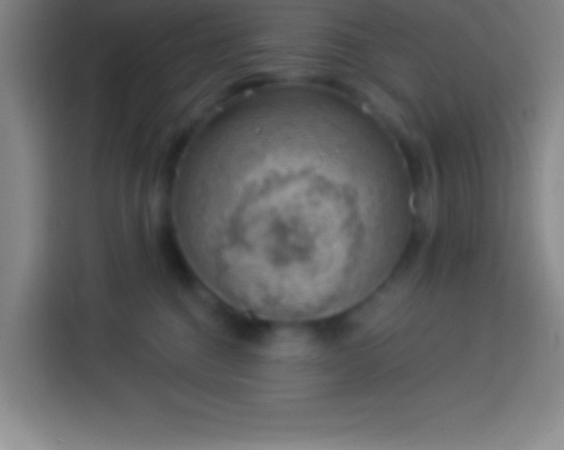 X0000113900376200910011347