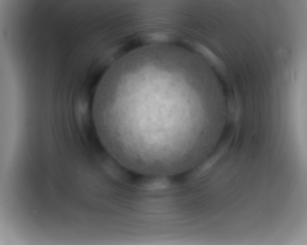 X0000113900377200910011347