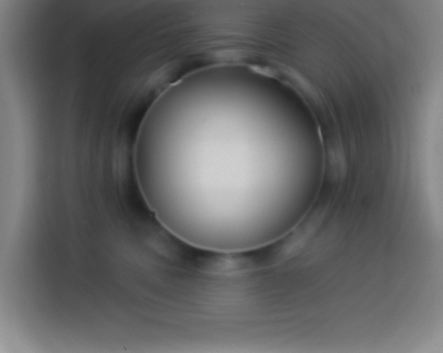 X0000113900379200910011347