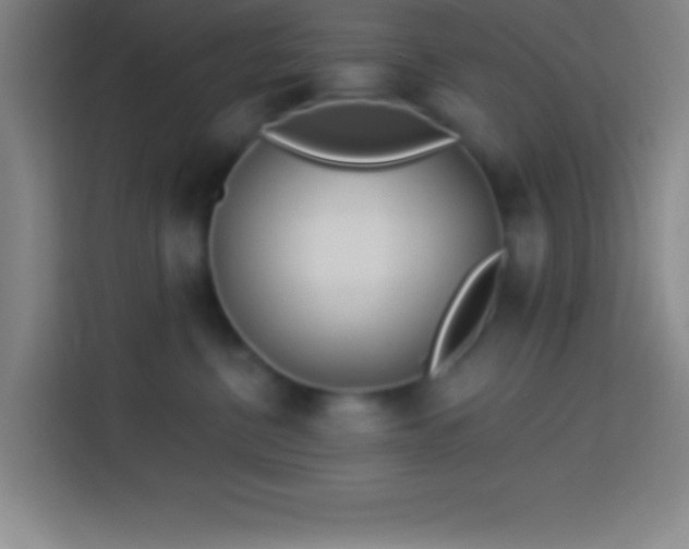 X0000113900380200910011347