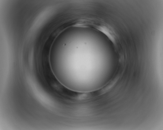 X0000113900382200910011347